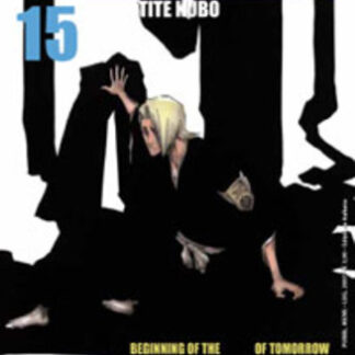 Bleach 15 (1a edizione - condizione usato)