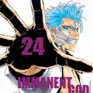Bleach 24 (1a edizione - condizione usato)