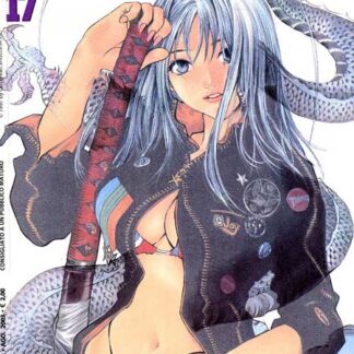 Inferno e Paradiso 17 (cond. usato)