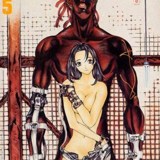 Inferno e Paradiso 5 (cond. usato)