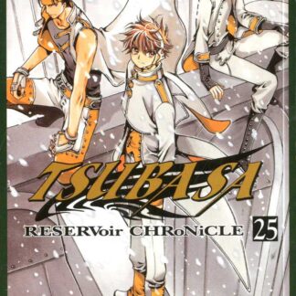 Reservoir Chronicle 25