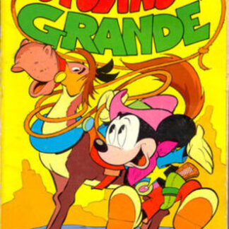 Topolino il grande (condizioni usato)